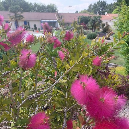 Neuville-du-Poitou Lagalerne Bed & Breakfast エクステリア 写真