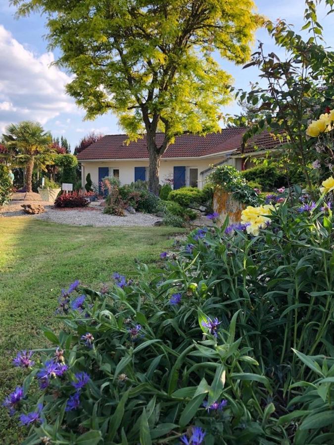Neuville-du-Poitou Lagalerne Bed & Breakfast エクステリア 写真