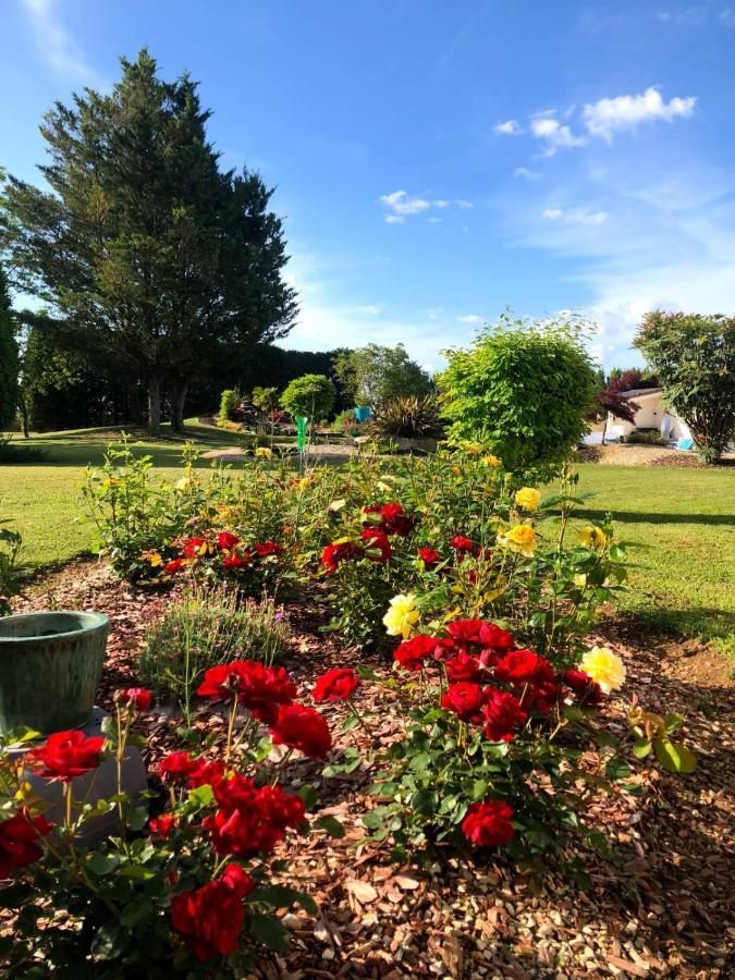 Neuville-du-Poitou Lagalerne Bed & Breakfast エクステリア 写真
