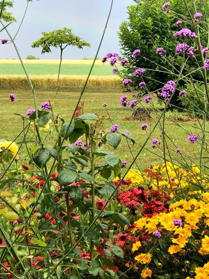Neuville-du-Poitou Lagalerne Bed & Breakfast エクステリア 写真