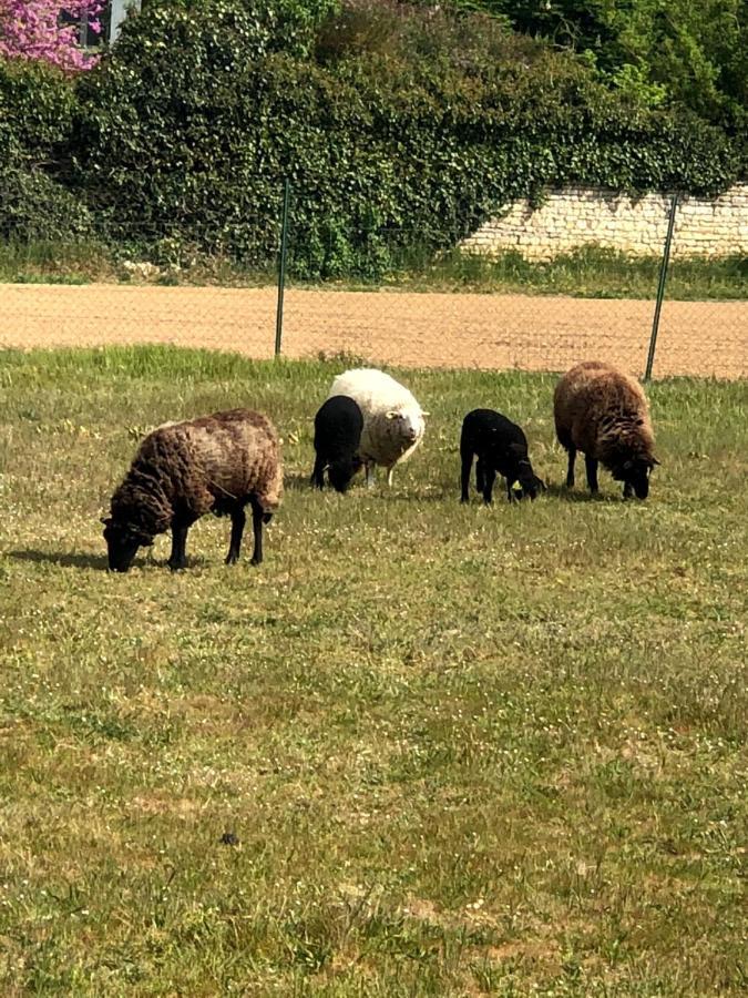 Neuville-du-Poitou Lagalerne Bed & Breakfast エクステリア 写真