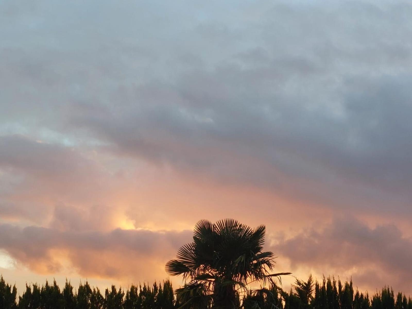 Neuville-du-Poitou Lagalerne Bed & Breakfast エクステリア 写真
