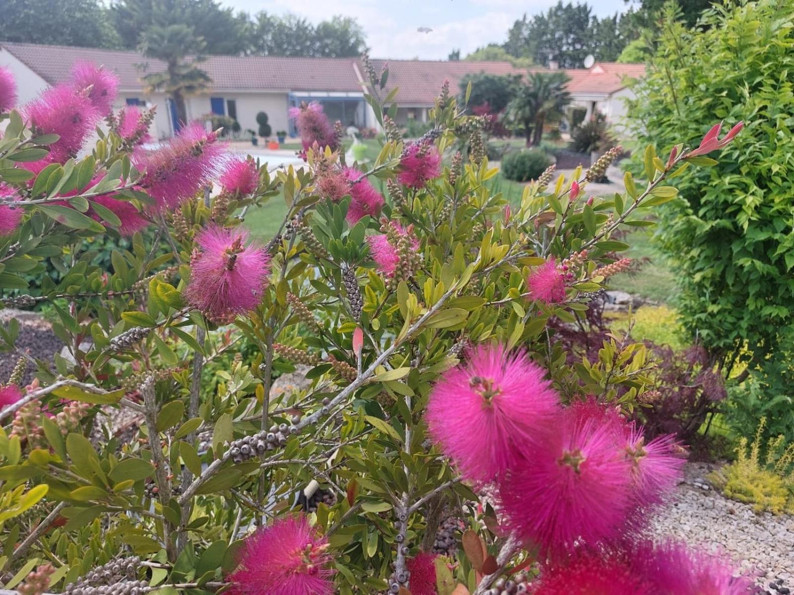 Neuville-du-Poitou Lagalerne Bed & Breakfast エクステリア 写真