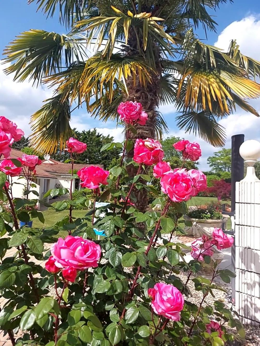 Neuville-du-Poitou Lagalerne Bed & Breakfast エクステリア 写真