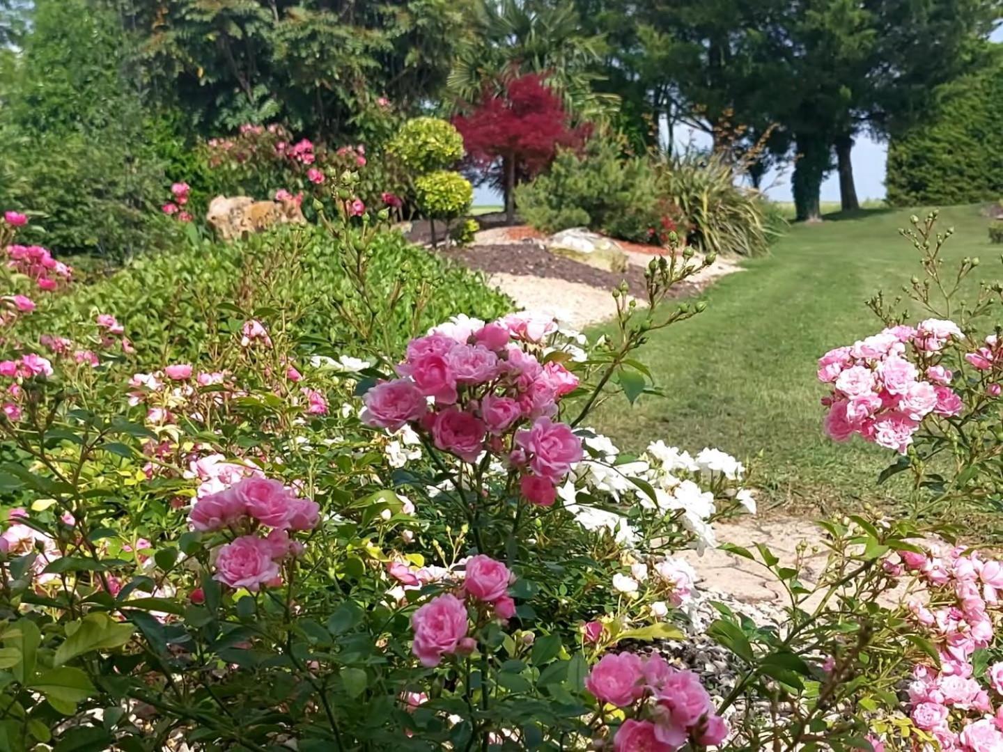 Neuville-du-Poitou Lagalerne Bed & Breakfast エクステリア 写真
